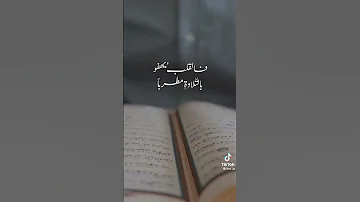 نشيد يا حافظ القرآن 