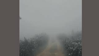 The Road to Tranquility | Relaxing music