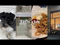 VLOG: Surprise We got a New Puppy || What’s New @ Target || Ladies Night