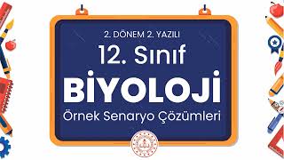 12. Sınıf Biyoloji 2. Dönem 2. Yazılı Örnek Senaryo Çözümleri by Ölçme, Değerlendirme ve Sınav Hizmetleri Genel Md. 54,345 views 3 weeks ago 26 minutes