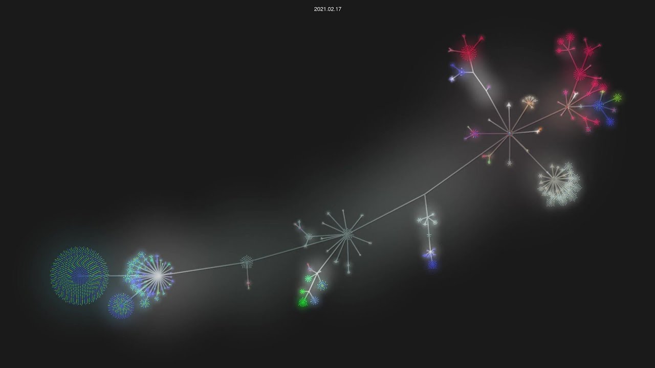 matplotlib/matplotlib - git history visualization - YouTube