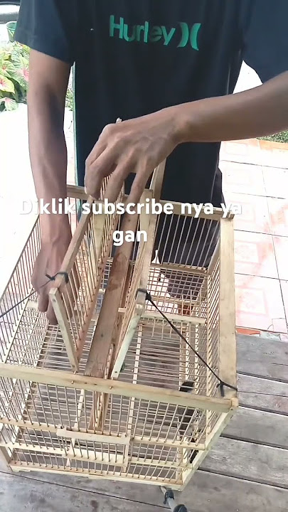 Sangkar jebakan pikat burung otomatis