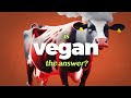 Is veganism really the answer