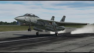 DCS STUNNING Parallel Landing F14 & Mig29