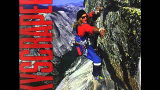 DAVID LEE ROTH  Twinn Spinn off "Skyscraper"  1988 HQ