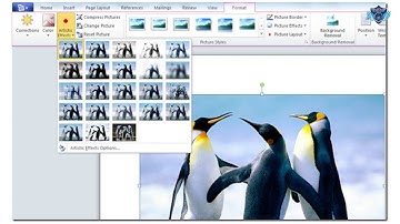 Learn MS Word Formatting in Punjabi , Punjab School Education Board