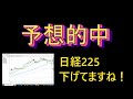 予想的中　YouTube株塾塾生です！日経225下げていますね！