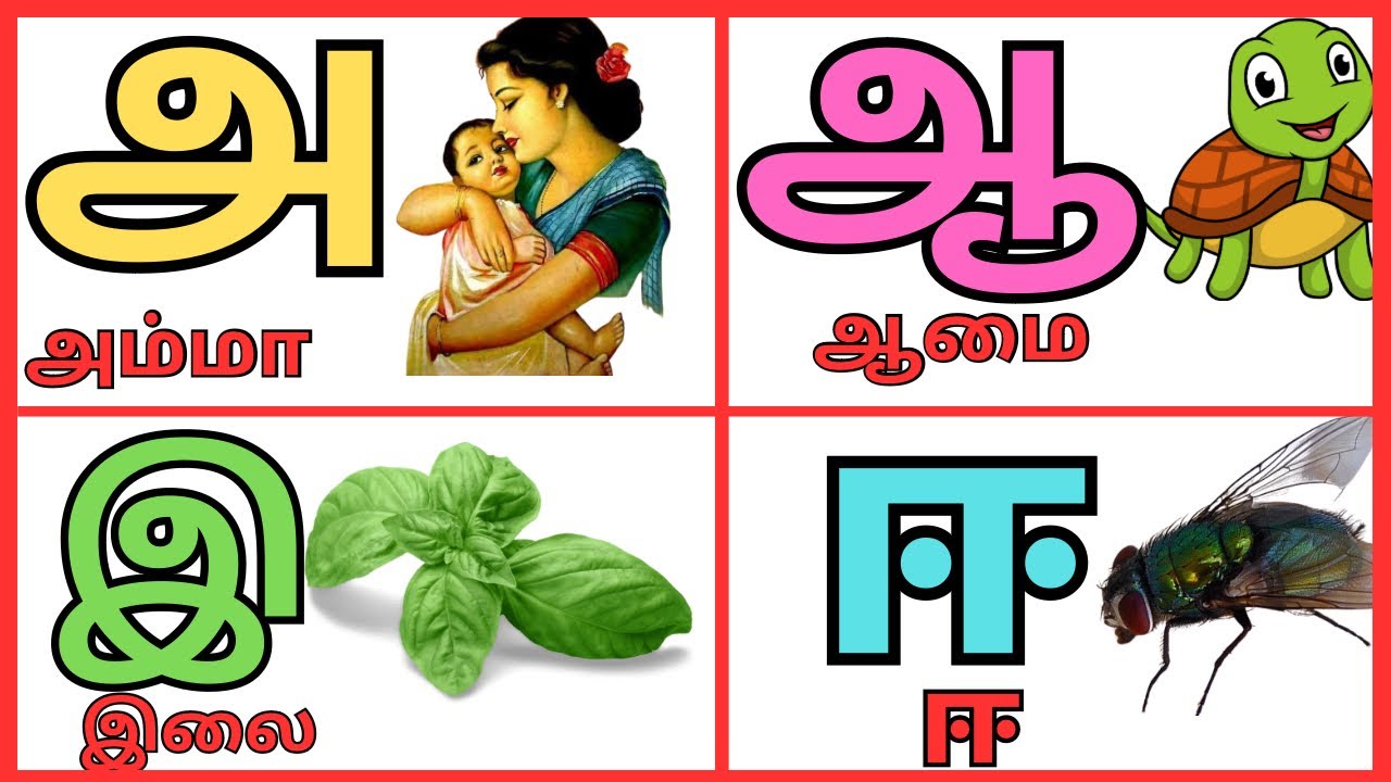 அ ஆ இ ஈ உயிர் எழுத்துக்கள்( A Aa E Ee Uyir Ezhuthukal) |Learn Tamil ...