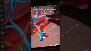 App: ZoomArt #anatomy #medicosstuff #ipadnotes #studywithme #notetakingapps #notes #notetaking