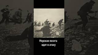 Морская пехота идет в атаку  #history #великаяотечественная #история #историческоенаследие #война