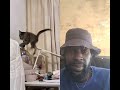 #cat #funny #funnycats #pets #animals #catvideos #catshorts #duet #petsunited #funnypets