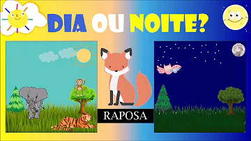 O que é hábitos diurnos?