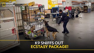 K9 Sniffs Out Ecstasy Package! | To Catch a Smuggler | हिन्दी | Full Episode | S4-E4 | Nat Geo