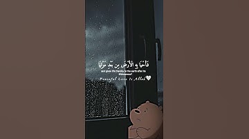 " ولئن سألتهم من نزل من السماء ماءً"سورة العنكبوت بصوت الشيخ اسلام صبحي 🌧️💙