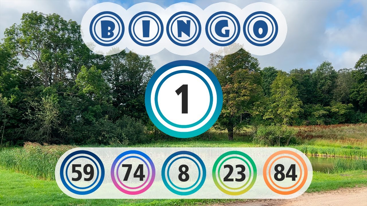 Игра 1 | Лето, Деревня. Лото | Бинго с диктором