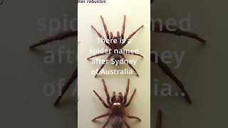 5 Quick Facts About Cities Worlds Biggest City Interesting Facts Highflags