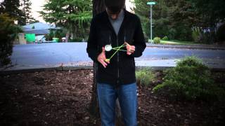 Cascade - One Throw