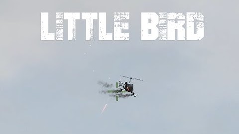 Overpoch Little Bird Action