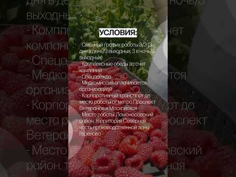 Вакансия ​Переборщик фруктов