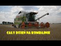 Zaczynamy kosić żyto☆CAŁY DZIEŃ NA KOMBAJNIE☆Agro Dniówka #116 Agro Kuzyni