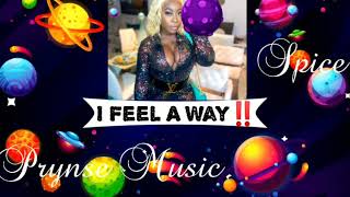 Spice - I Feel A Way