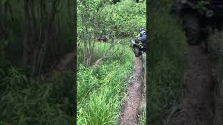 Backyard trails at Andover,OH
