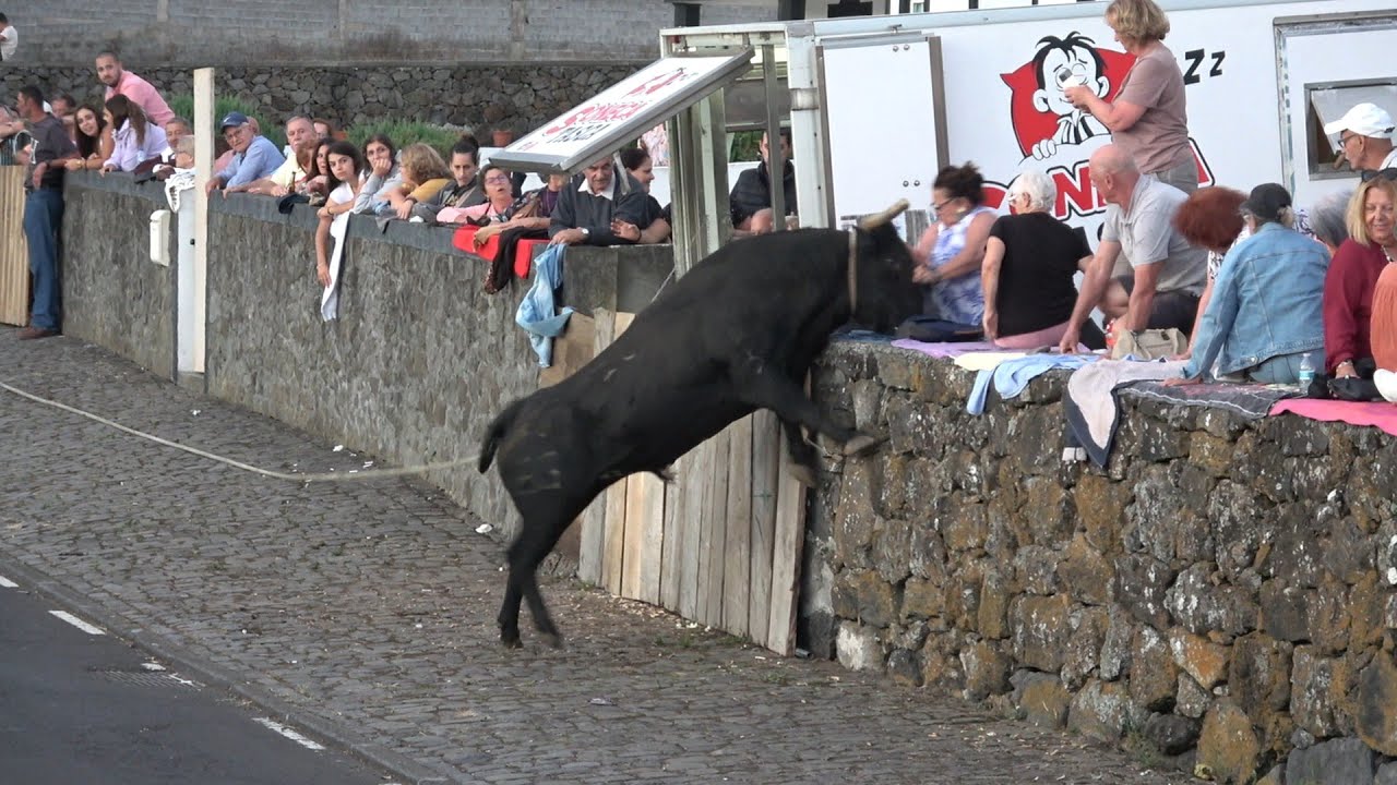 Tourada na Rua 11 Agosto no Pesqueiro, com toiros de OTT (2025-09-24)