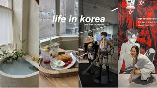 korea diaries 🇰🇷 | attack on titan pop up, spy x family pop up, aesthetic cafe