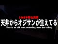 【心霊】霊感強い人に見てもらったら色々ヤバすぎた...【心霊スポット】【1868年築古民家】