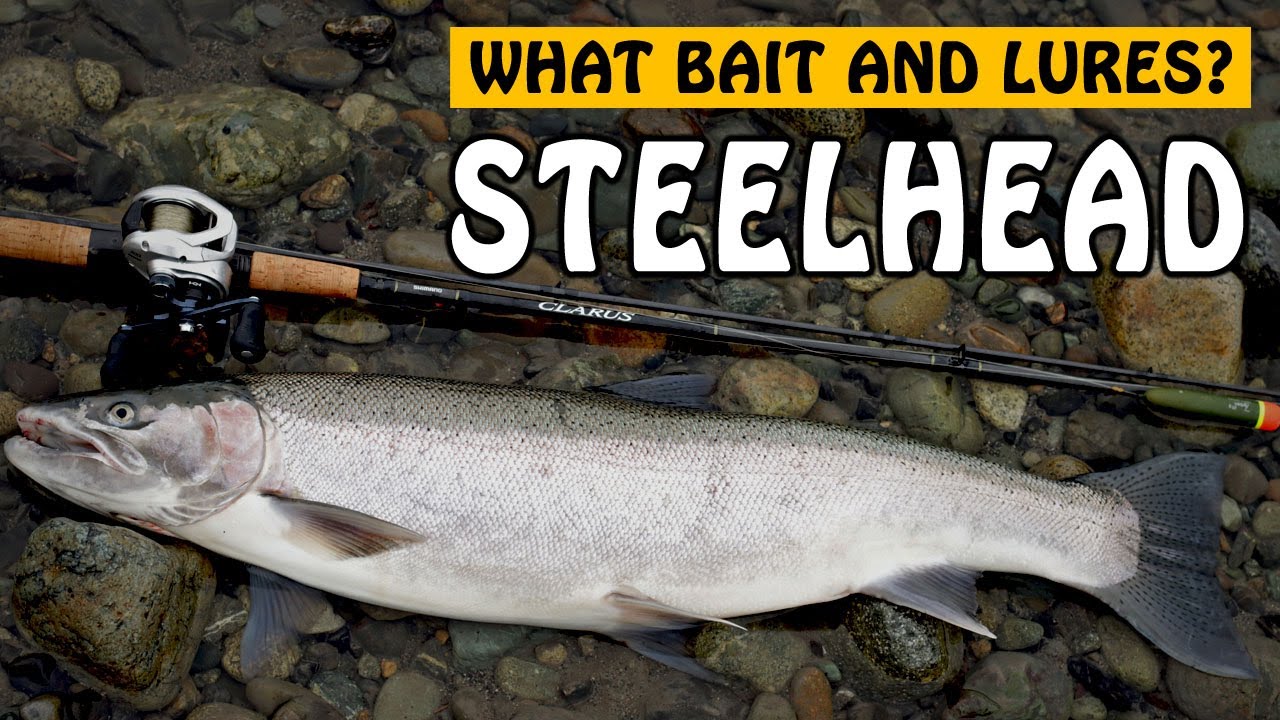 How to Catch Steelhead Bobber Doggin. (BANK FISHING TIPS!) 