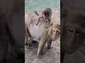 Great Job On Mommy Back Shorts Shortvideo Shortsfeed Great Job On Mommy Back Shorts Shortvideo Shortsfeed