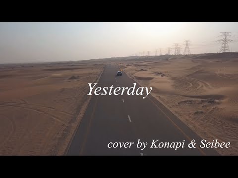 Yesterday-The Beatles cover/歌ってみた