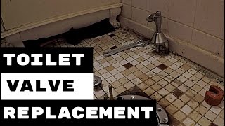 PLUMBING REPAIRS | TOILET VALVE INSTALL | PLUMBING APPRENTICE