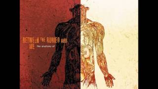 Watch Between The Buried  Me Us And Them video