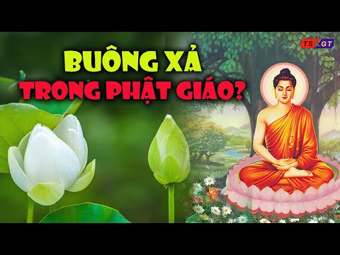 Video Tâm thế buông xả trong Phật giáo là gì? - youtube