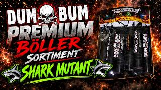 Dum Bum 🔥 Premium Böllersortiment | 🦈 SHARK MUTANT 🦈