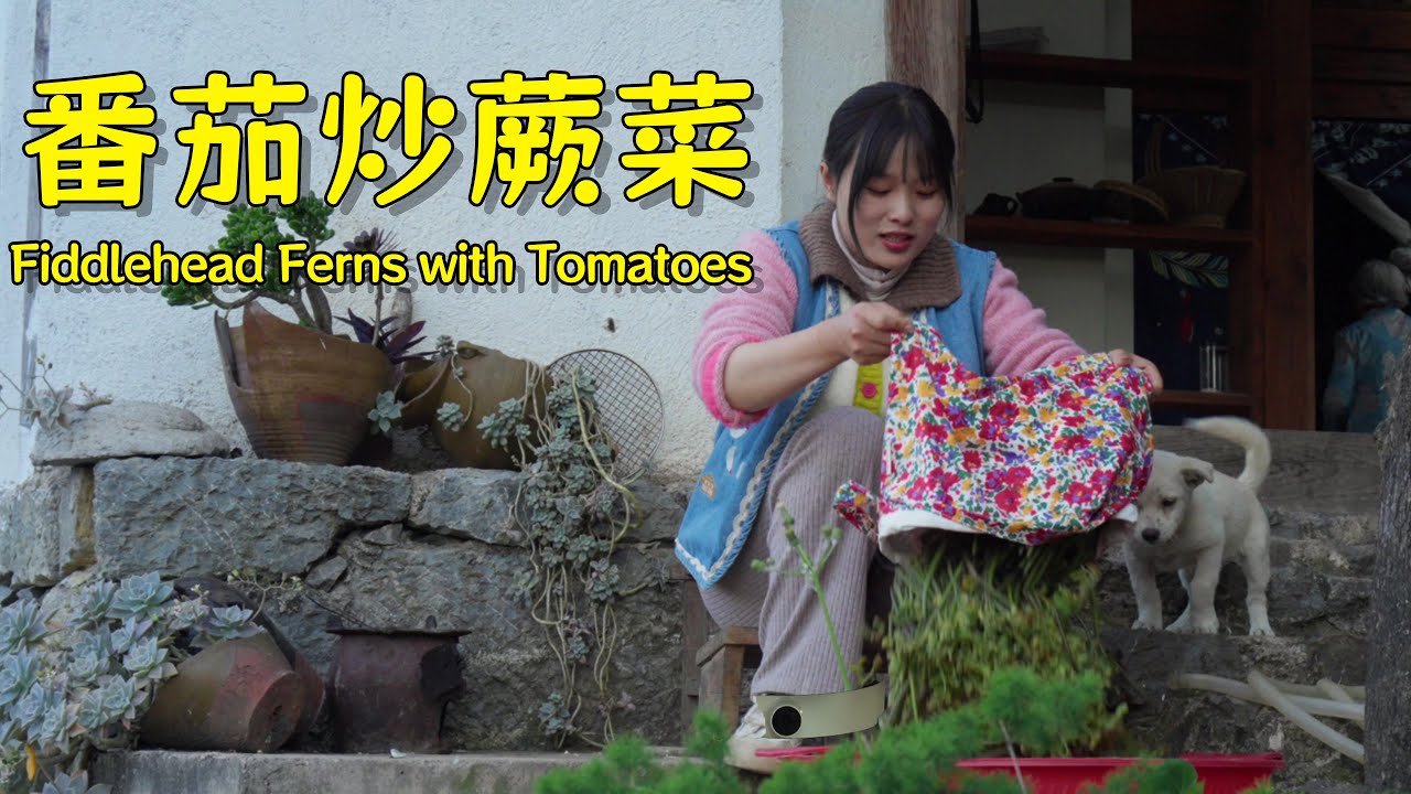 山野间，掐一背篓鲜嫩蕨菜，炒着吃，香极了！【叫我阿霞Channel】