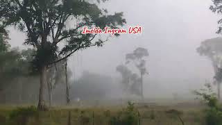 Another Foggy Morning Going To Work!/Imelda Ingram USA #foggymorning