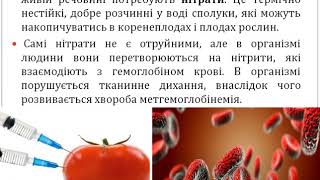 картинка: Урок 22  Негативний вплив на метаболізм токсичних речовин  Знешкодження токсичних сполук в організмі