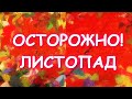 АРТ КВИЛТ ДЛЯ НАЧИНАЮЩИХ/ЯРКИЕ КРАСКИ ОСЕНИ