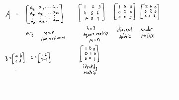 The linear algebra matrix introduced