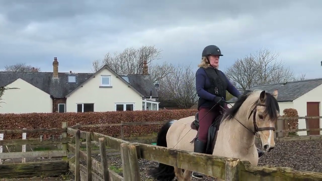 Pascal P1 24th Feb 2026