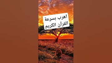 القرآن الكريم تلاوة خاشعة ومؤثرة جدا #القران #اكسبلور #دويتو