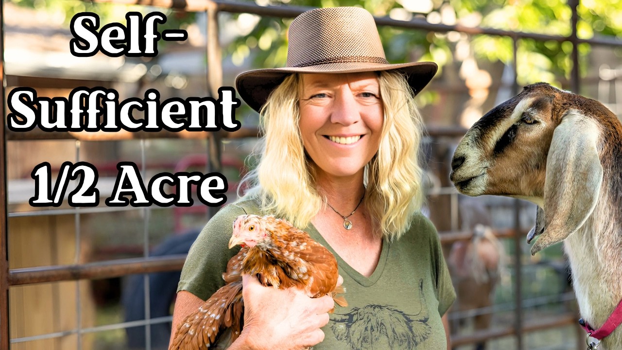 How We Produce 80% of Our Food on Just 1/2 Acre (Complete Tour)