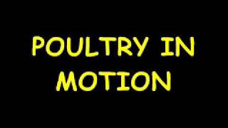 Celebrity Poultry In Motion (Title Sequence Prototype) Net Worth