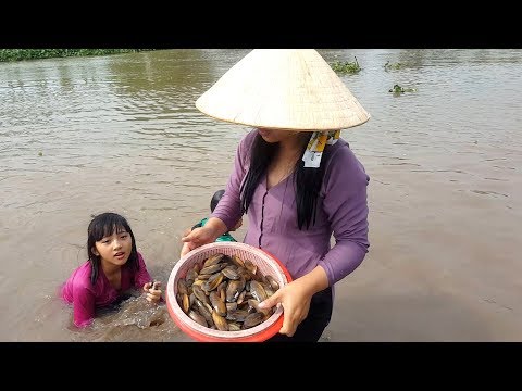 Video Thôn nữ ra bờ sông bắt Chem Chép về Nấu Cháo | Thôn Nữ... - youtube
