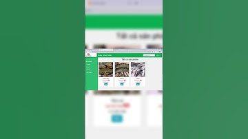 Mã code 36789. Web bán thực phẩm bằng PHP có tích hợp Thanh toán VNPay và Momo | Topcode.vn #shorts