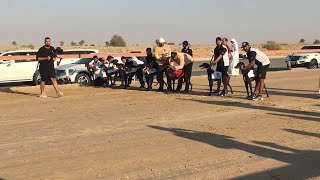 GREYHOUND MALE QUALIFICATION RACE 2 , 1000 meters , DUBAI UAE (Feb. 9, 2024) by SALUKI RACE  265 views 3 months ago 1 minute, 5 seconds