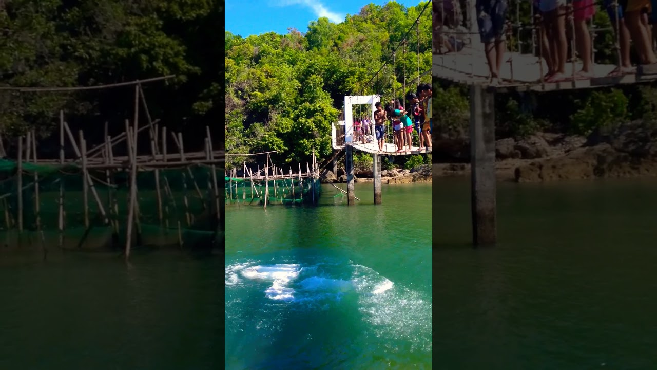 Hanging Bridge YouTube