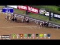 2015 Dubai Golden Shaheen Sponsored By Gulf News (Group I)